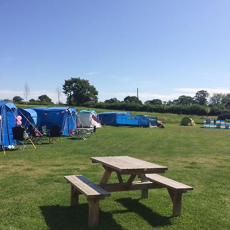 Glamping Tent At Abbey Green Farm Villa Whitchurch  Exteriör bild