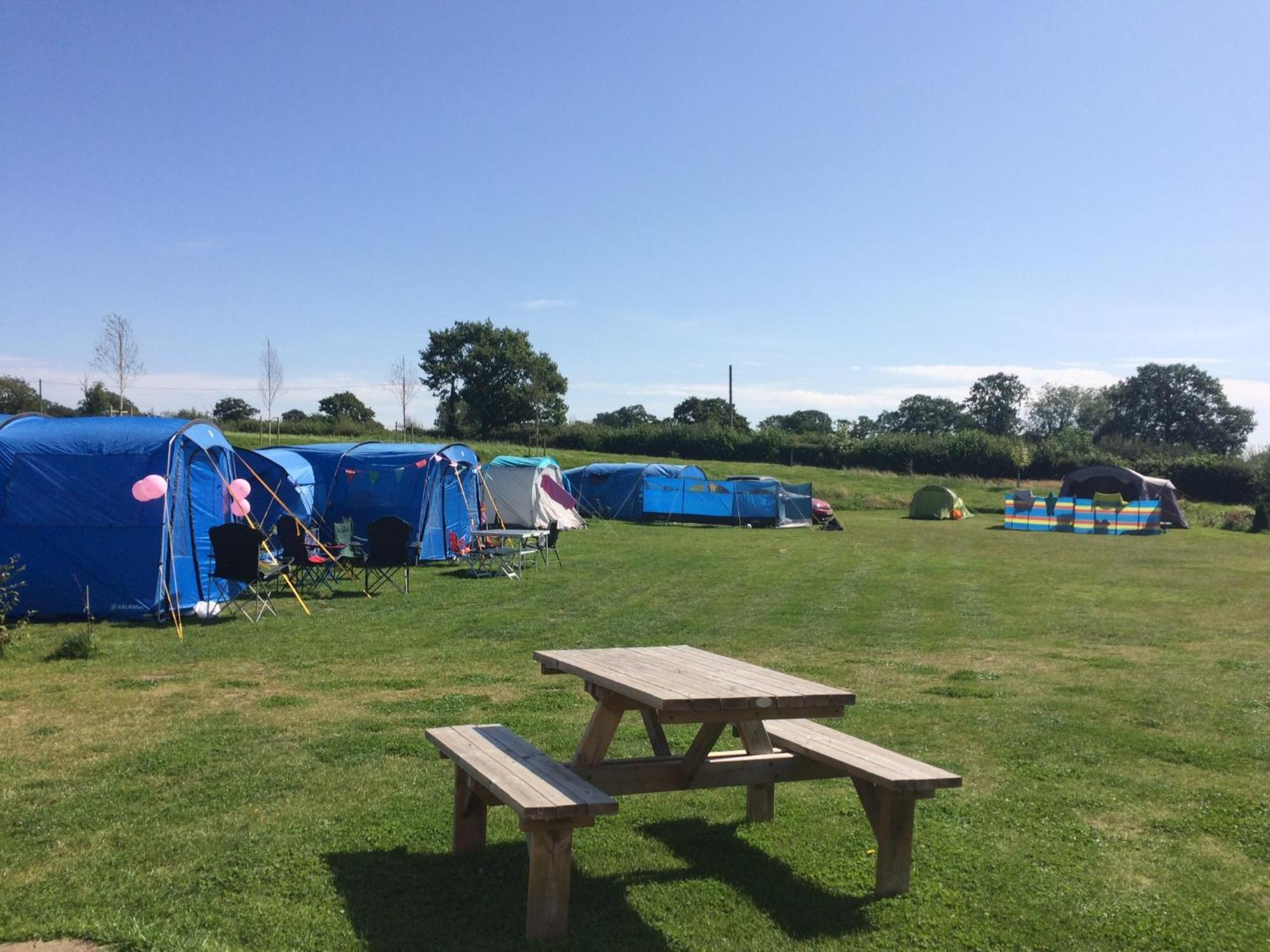 Glamping Tent At Abbey Green Farm Villa Whitchurch  Exteriör bild